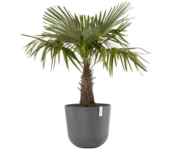 Ecopots Kunststoff-Topf Oslo, rund