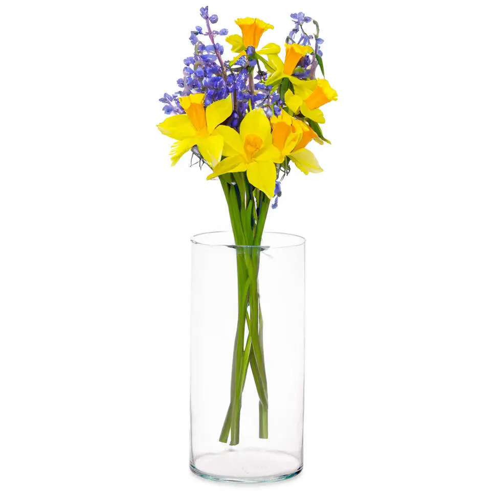 Giftdecor Bloemenvaas basic - transparant glas - D15 x H30 cm - 5L