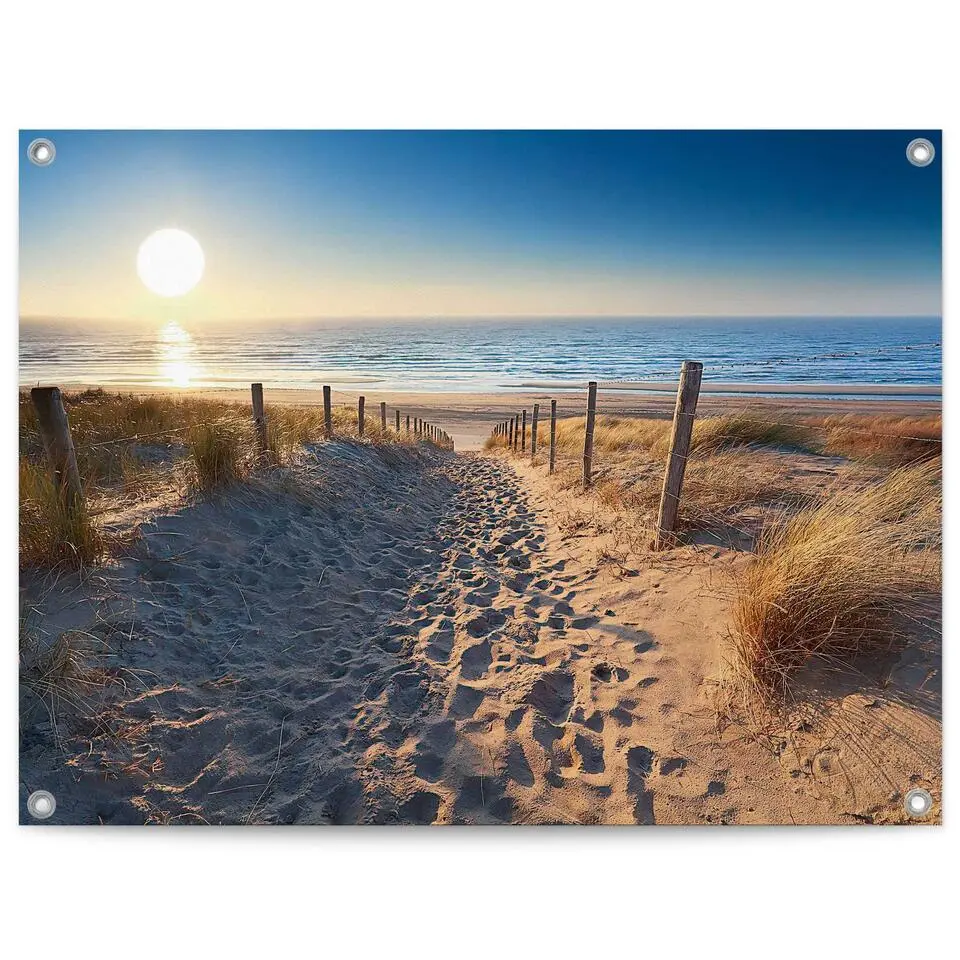 Tuinposter Duinpad - 60x80cm - Beige