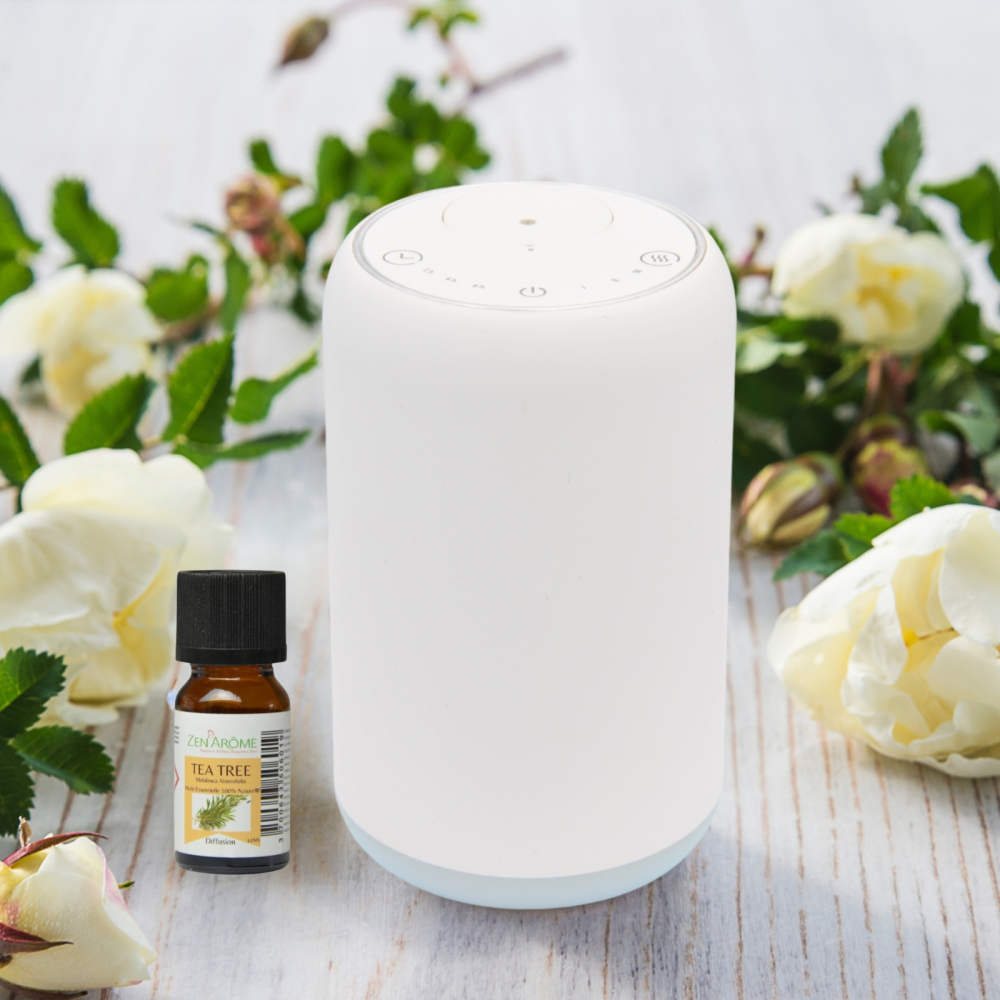 Diffuseur par nébulisation movisia v2