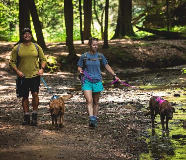 RUFFWEAR® Hundegeschirr Flagline Harness 2.0
