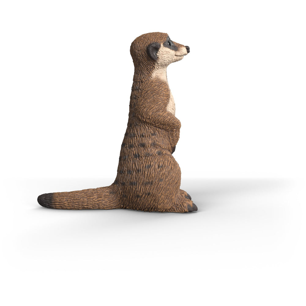Køb Schleich Surikat