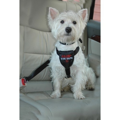 Arnês preto para cães em carro