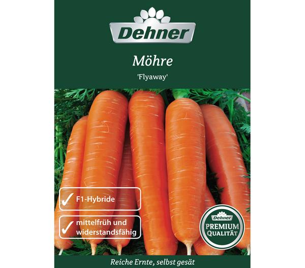 Dehner Premium Samen Möhre 'Flyaway'