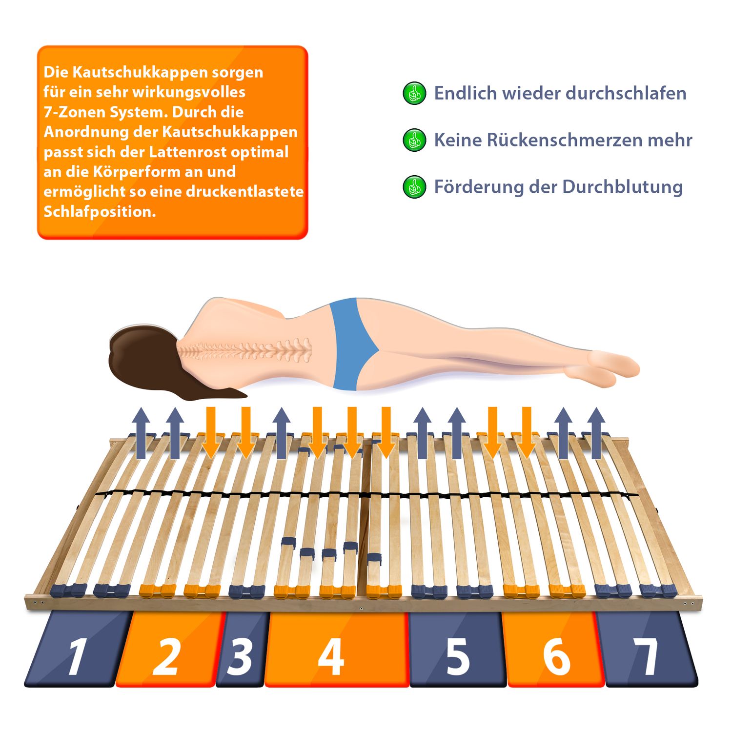Coemo 2er Set Lattenrost 100x200cm MULTIRA 7-Zonen starr 28 Leisten Härtegrad verstellbar