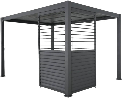 Lamellenwand Mirador Classic, Deluxe Plus 400 123 x 235 cm zwart
