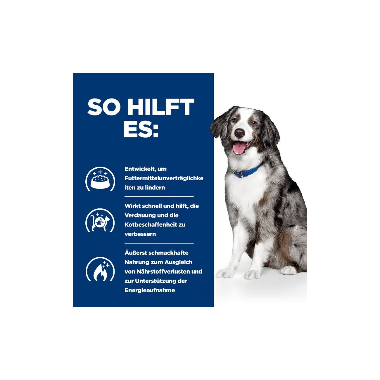 Hill's Prescription Diet i/d Sensitive Trockenfutter für Hunde, Adult, mit Ei und Reis zur Unterstützung der Verdauung 12 kg