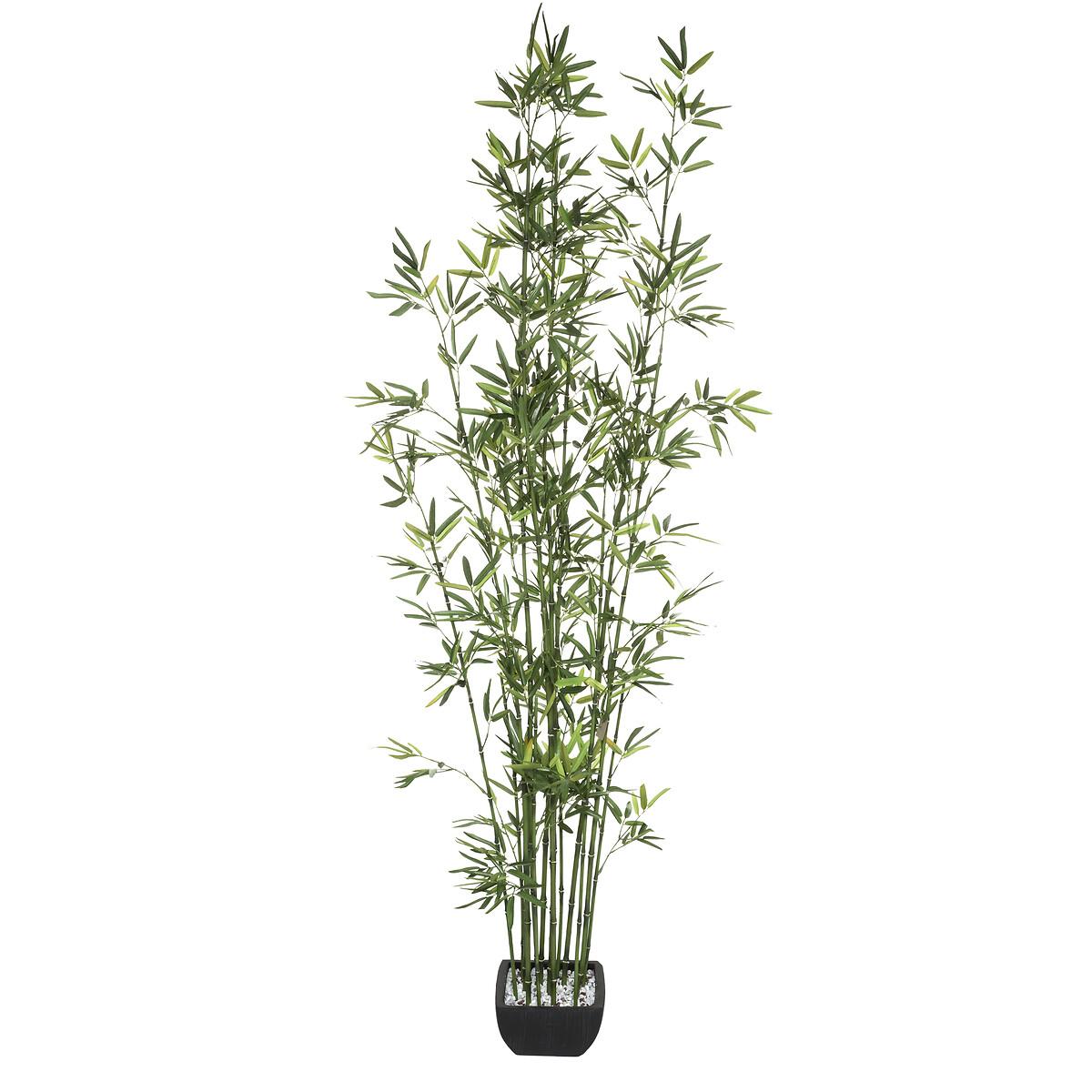 BAMBOU POT CERAMIQUE H.180CM