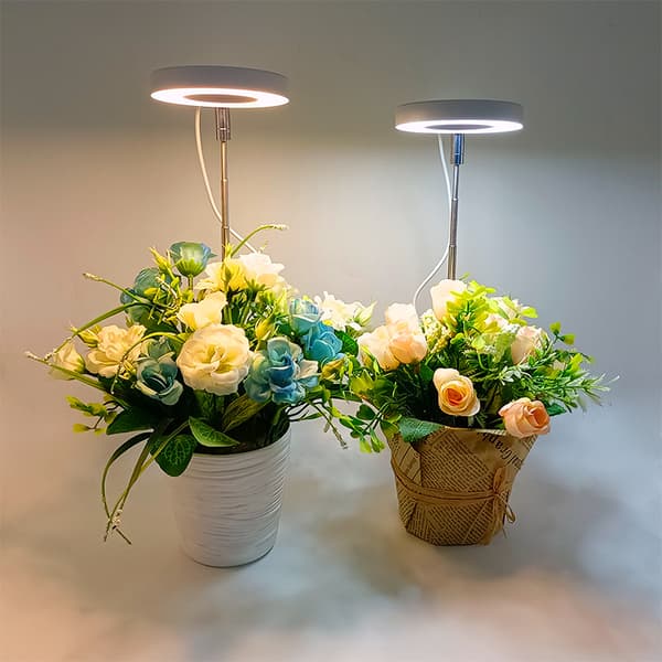 INF Plantebelysning for potteplanter varmhvitt / hvitt