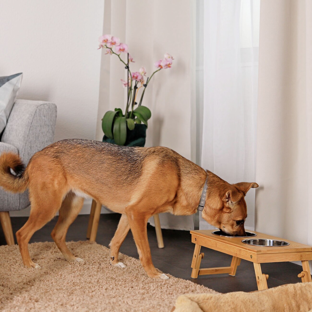 Lionto Futterbar BambusBalance