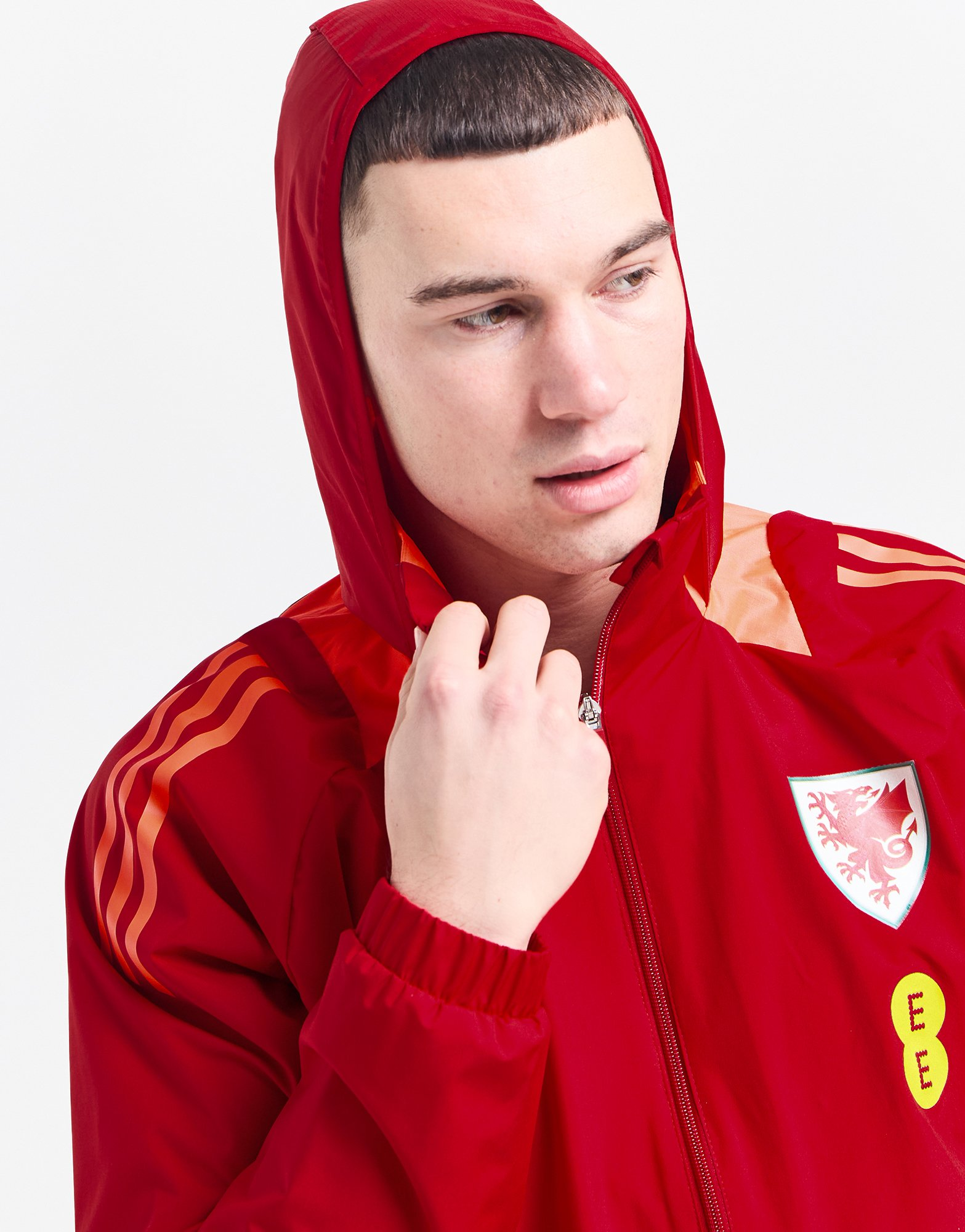 adidas Veste Pays de Galles Tiro 24 All-Weather Homme
