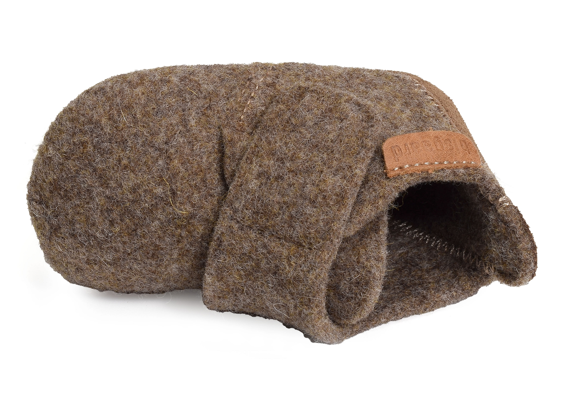 Baby wool camel