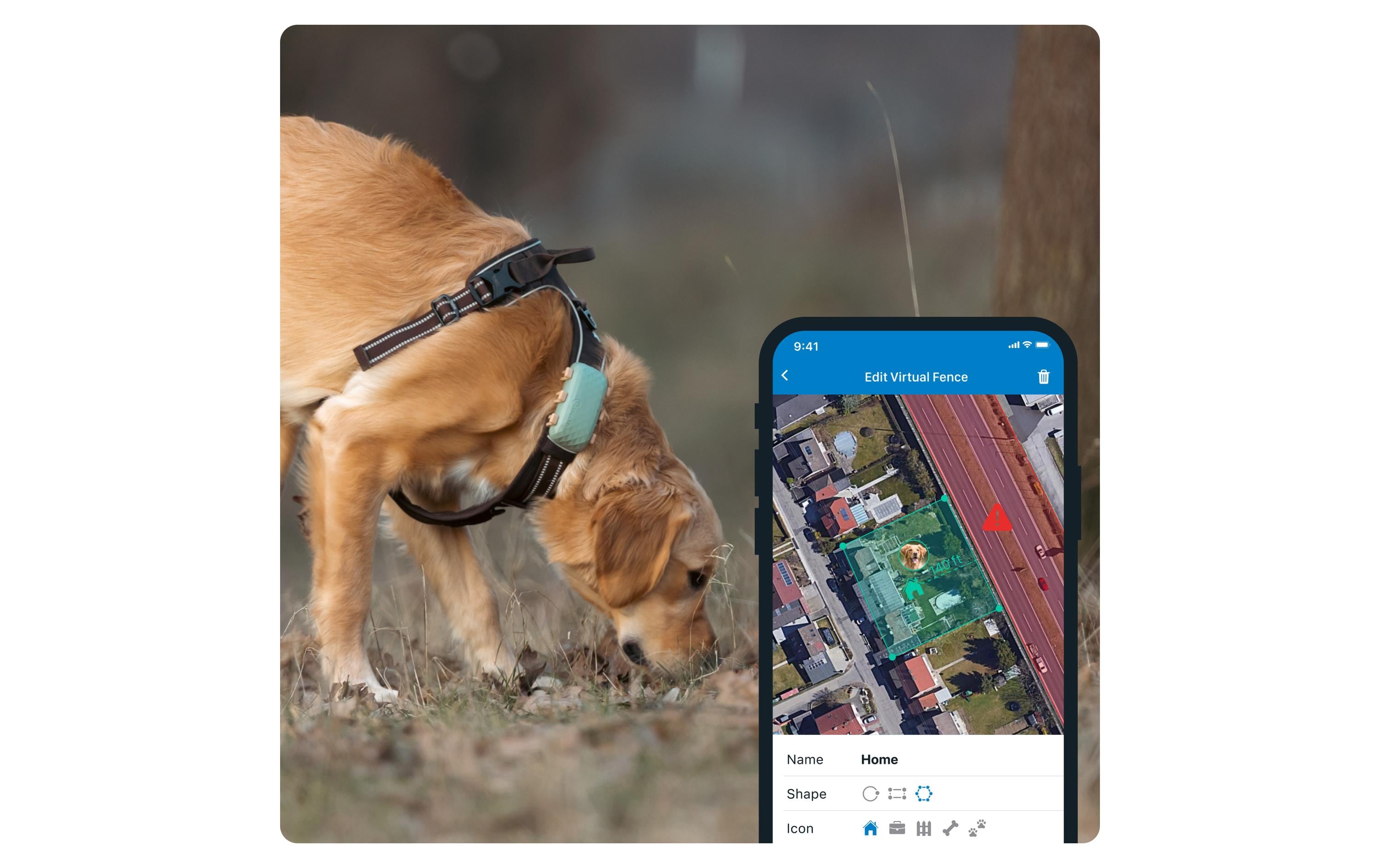 GPS-Tracker DOG XL, GrünGPS Tracker für grosse Hunde