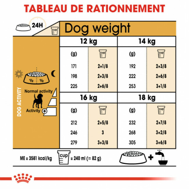 Croquettes Royal Canin Beagle Adulte