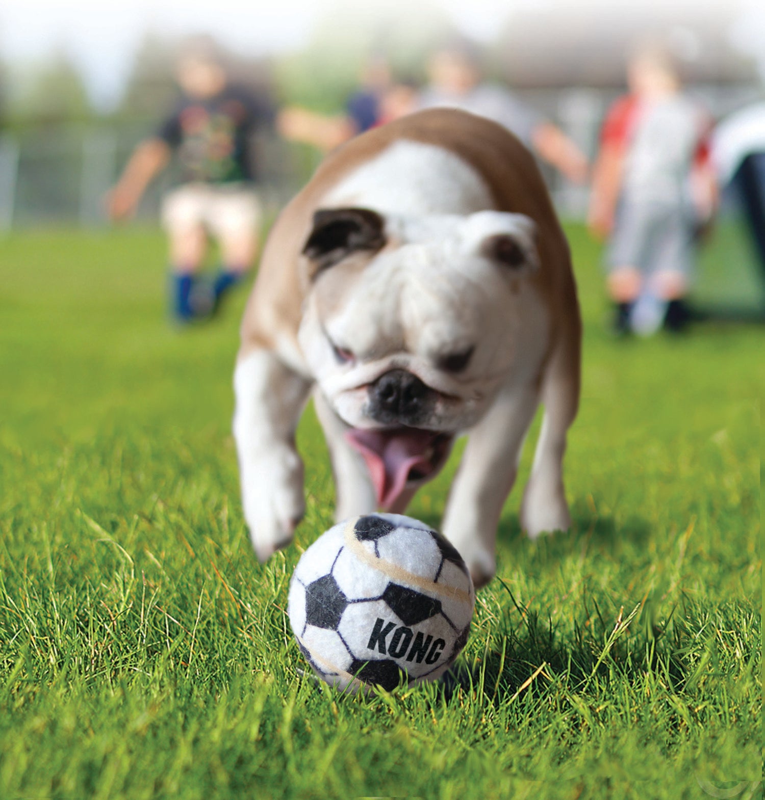 Kong hondenspeelgoed sportballen small 3 stuks