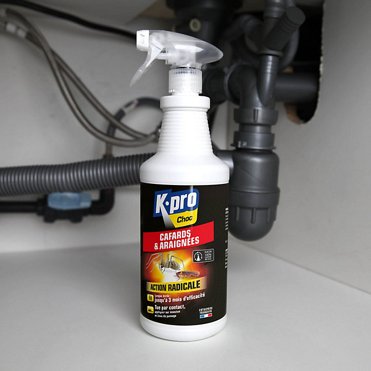 Pulvérisateur cafards et araignées Kapo 1L