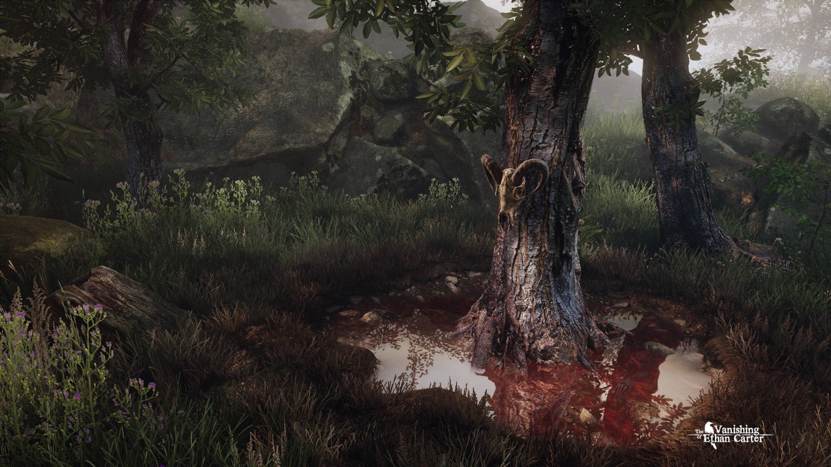 The Vanishing of Ethan Carter- PC