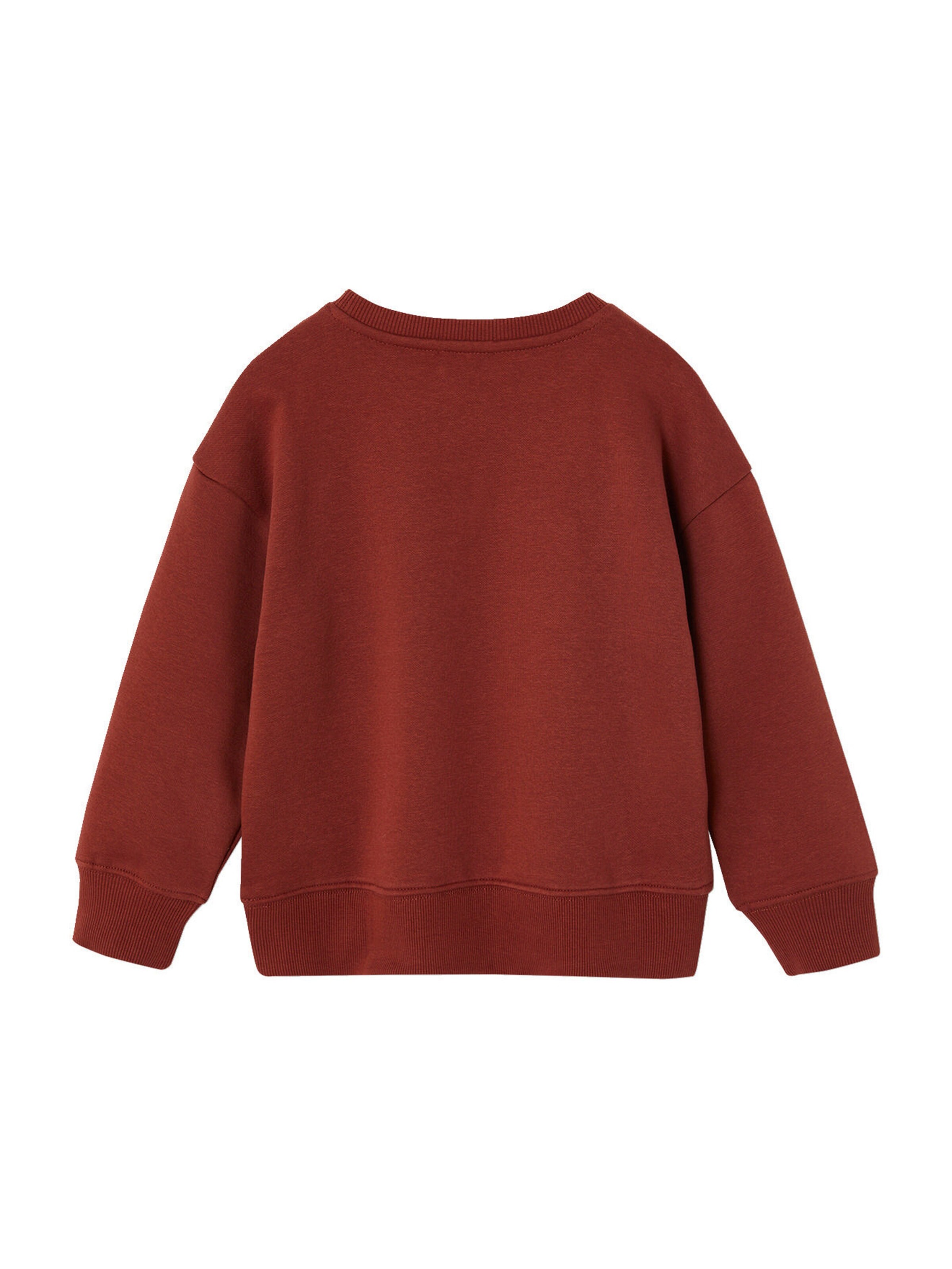 Vertbaudet Jungen Sweatshirt BASIC terrakotta