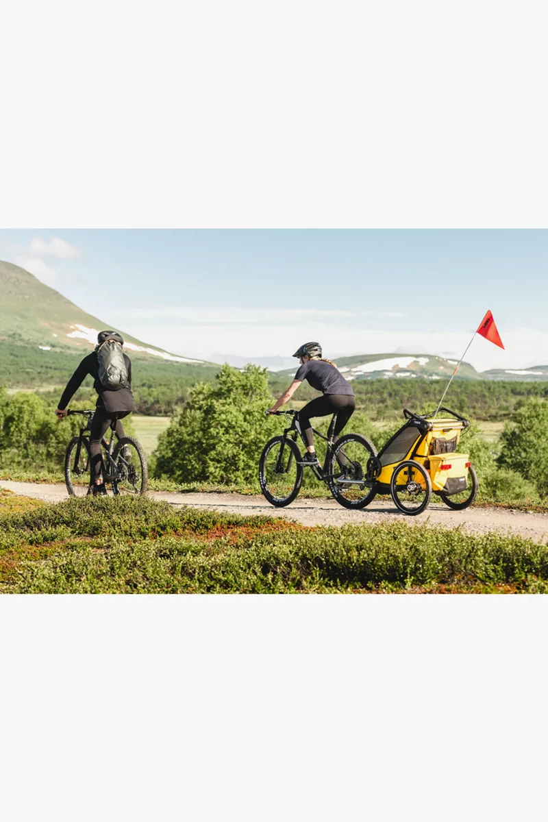 Thule Chariot Sport 1 Fahrradanhänger