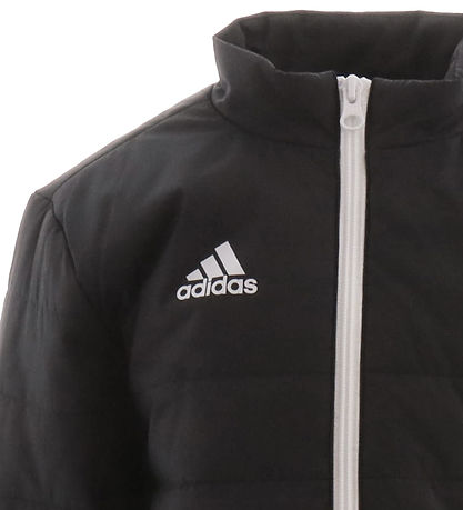 adidas Performance Steppjacke - ENT22 - Schwarz