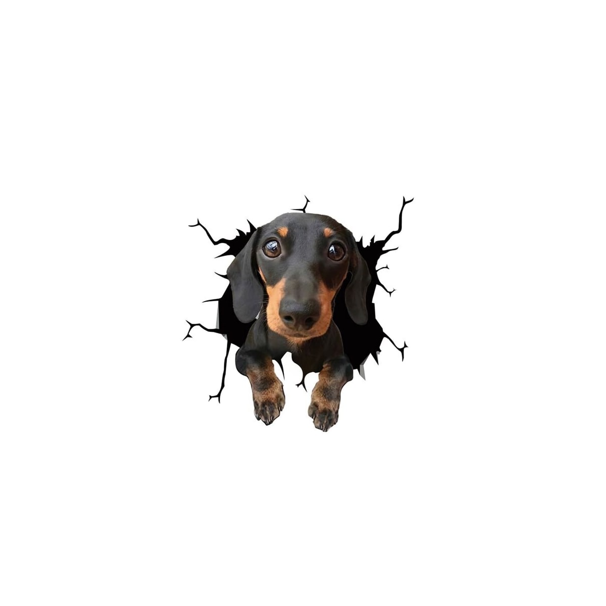 Bildekal - Hund, Morsomt Klistremerke til Bilvindu, Selvklebende PVC