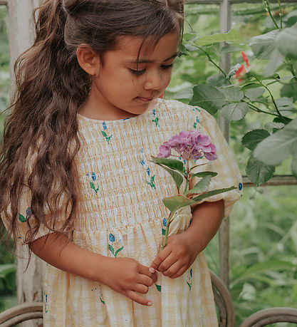 Fliink Kleid - Agnes - Sonnenlicht Flower Aop