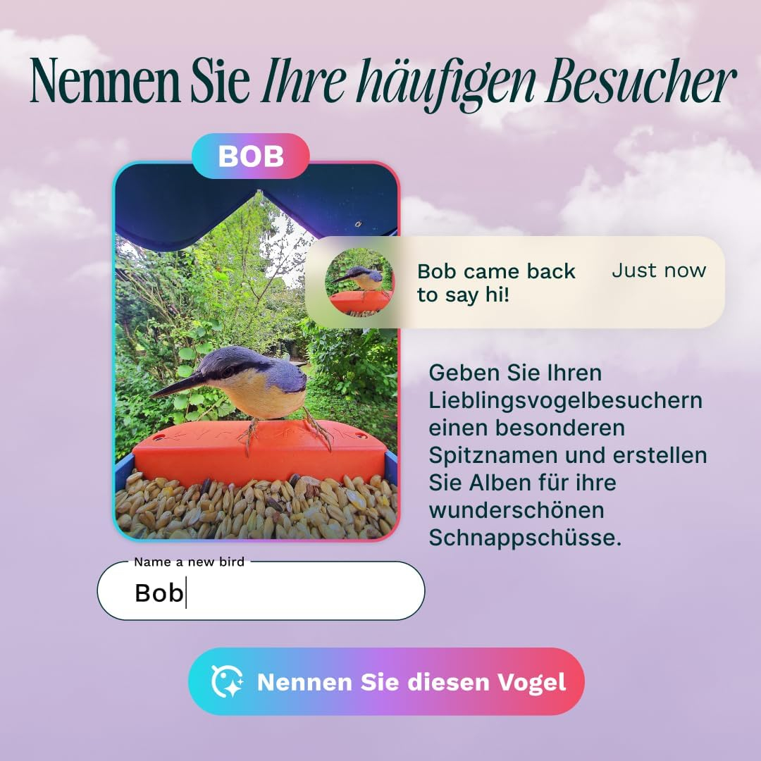 Bird Feeder PRO Solar Vogel Haus Vogelfutterspender Smarte Outdoor Wildvogel Futterstation mit 2K Kamera IP67 (BBG1003BAD)
