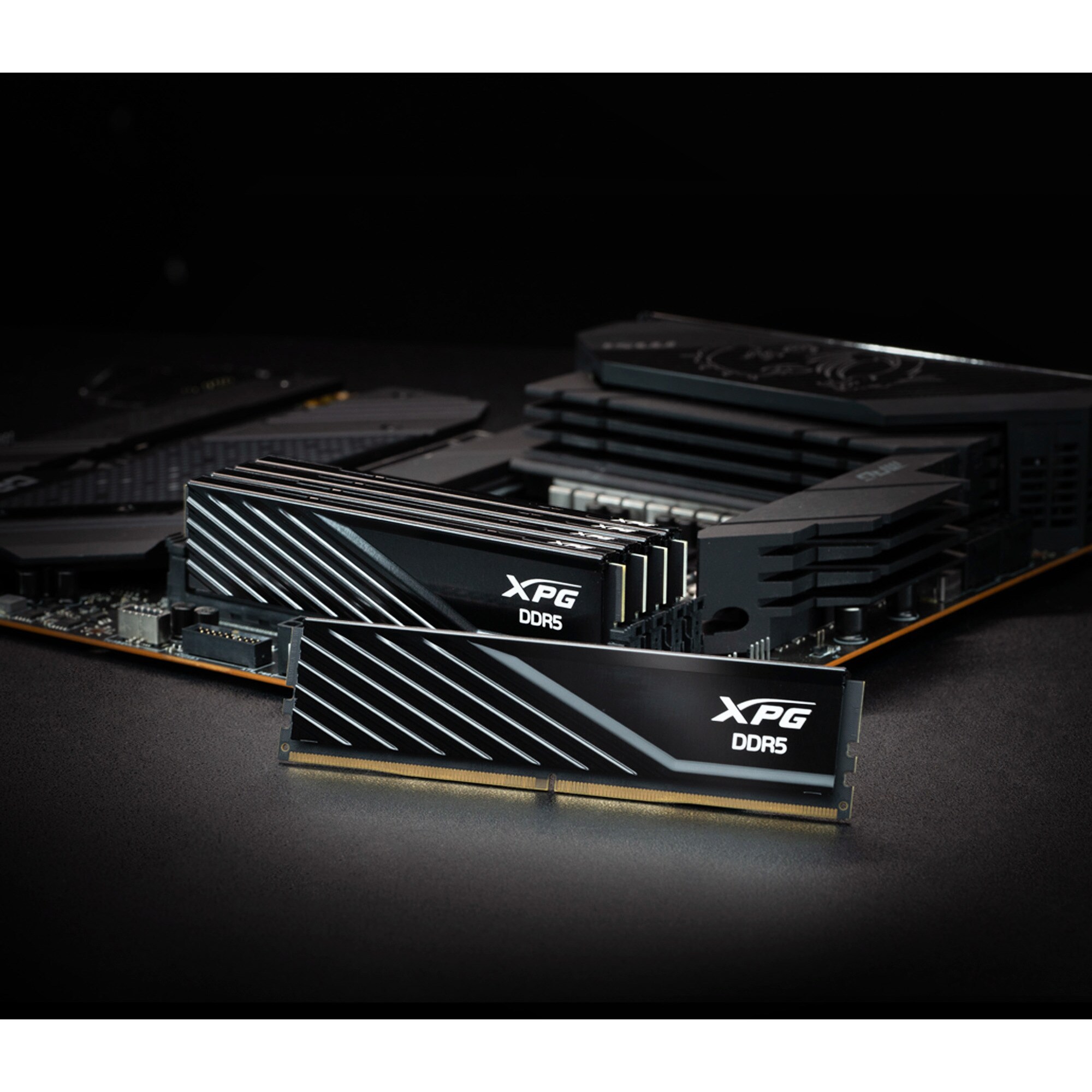 ADATA Arbeitsspeicher DIMM 32 GB DDR5-6000 (2x 16 GB) Dual-Kit