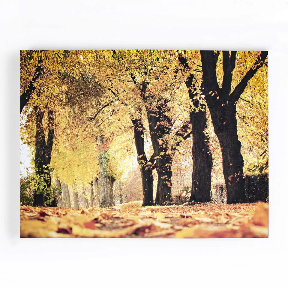 Art for the Home Herfst Canvas 75x100cm