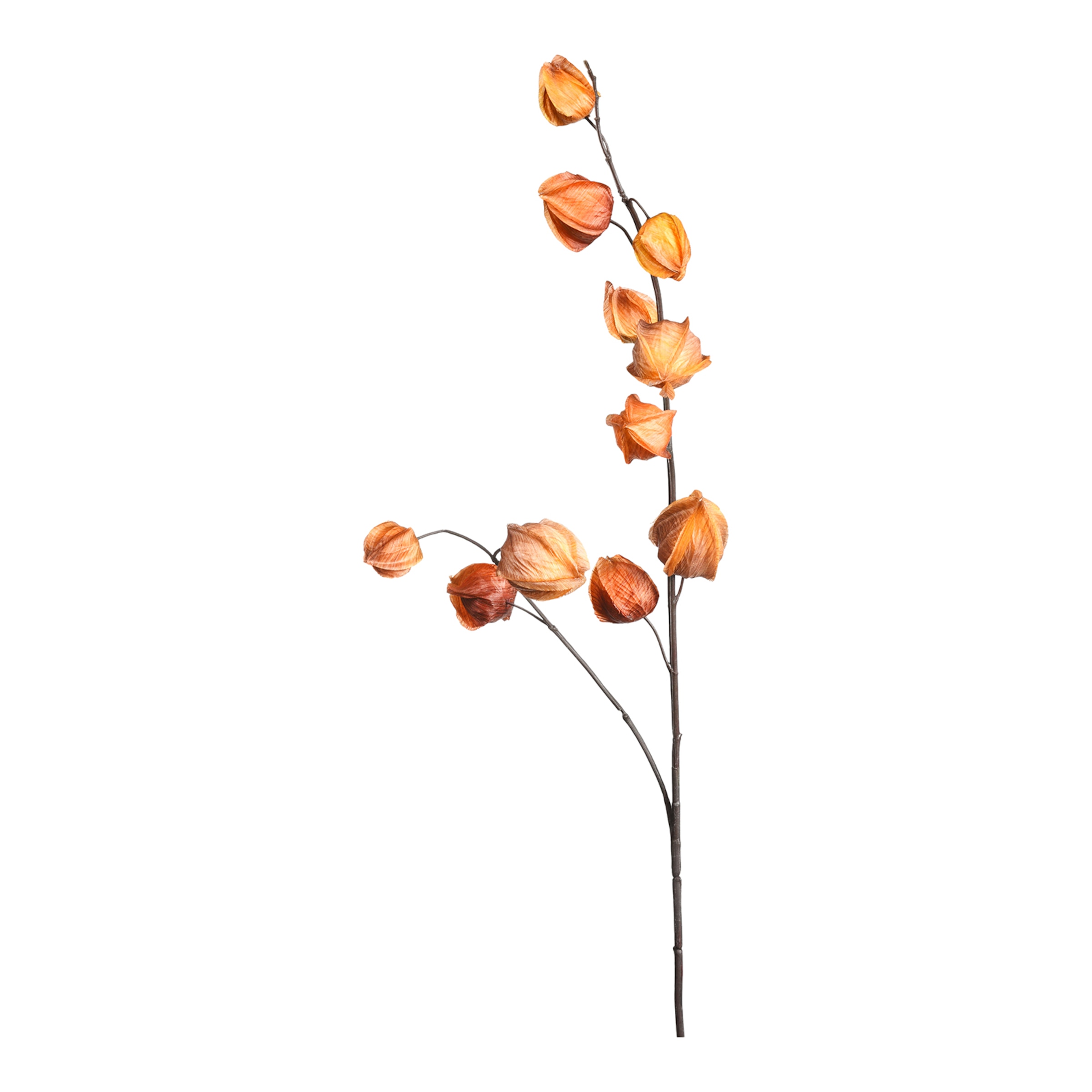braun, L 95 cm