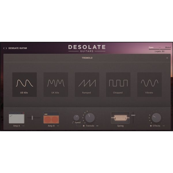 e-instruments Desolate Guitars