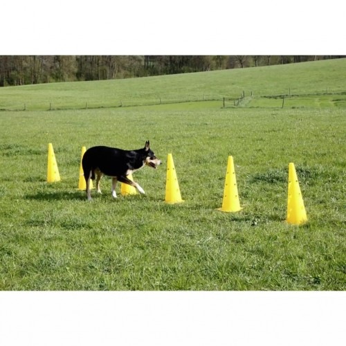 Equipamento de agilidade para cães amarelos