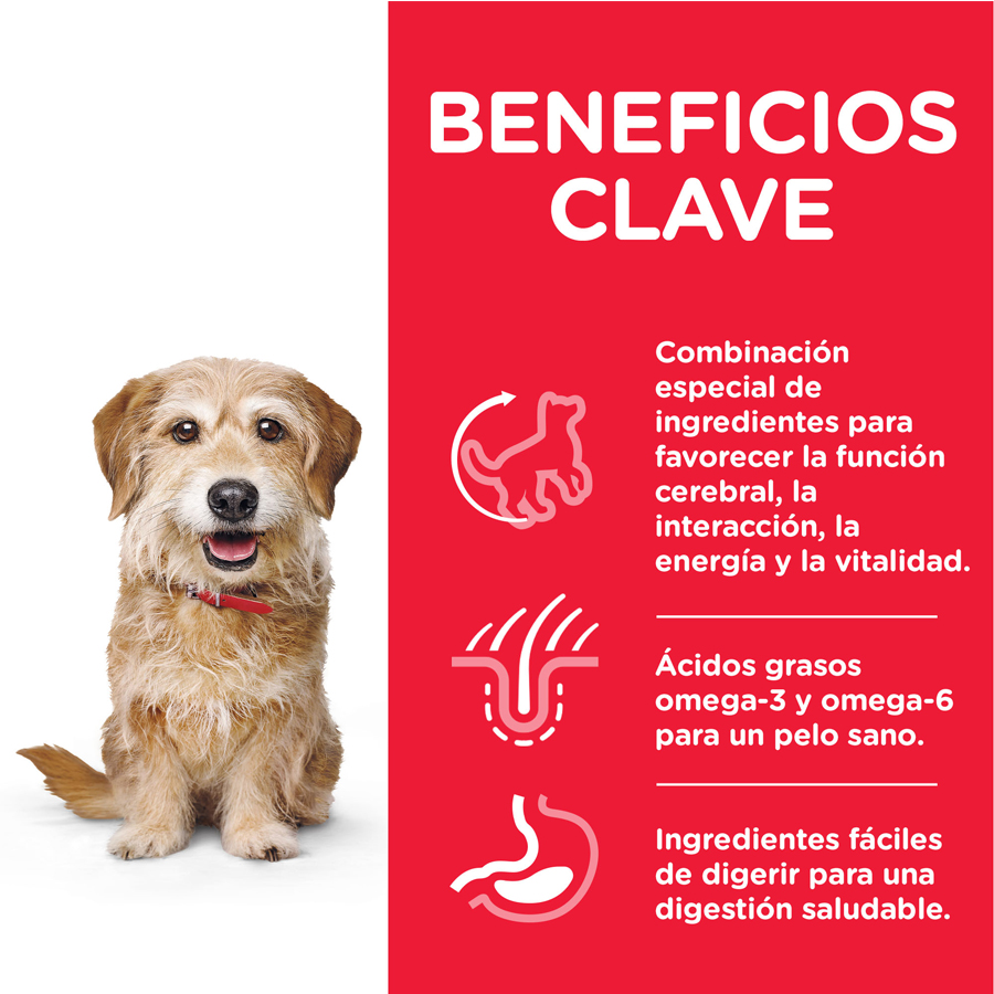 Hill's Science Plan Youthful Vitality Adulto +7 Pequeno e Mini Pollo pienso para perros