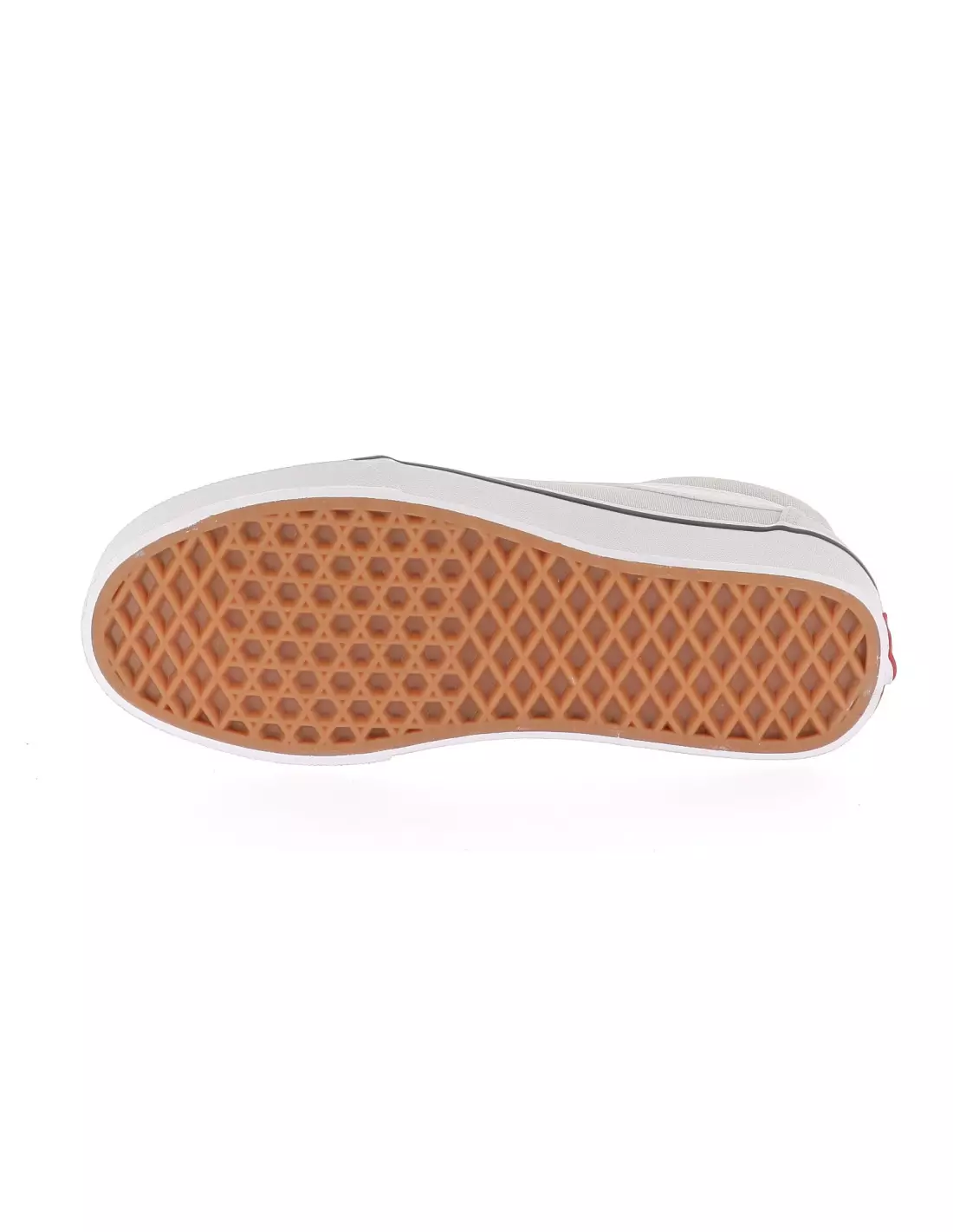 VANS WM WARD PALA AQUA - Baskets Paleaqua