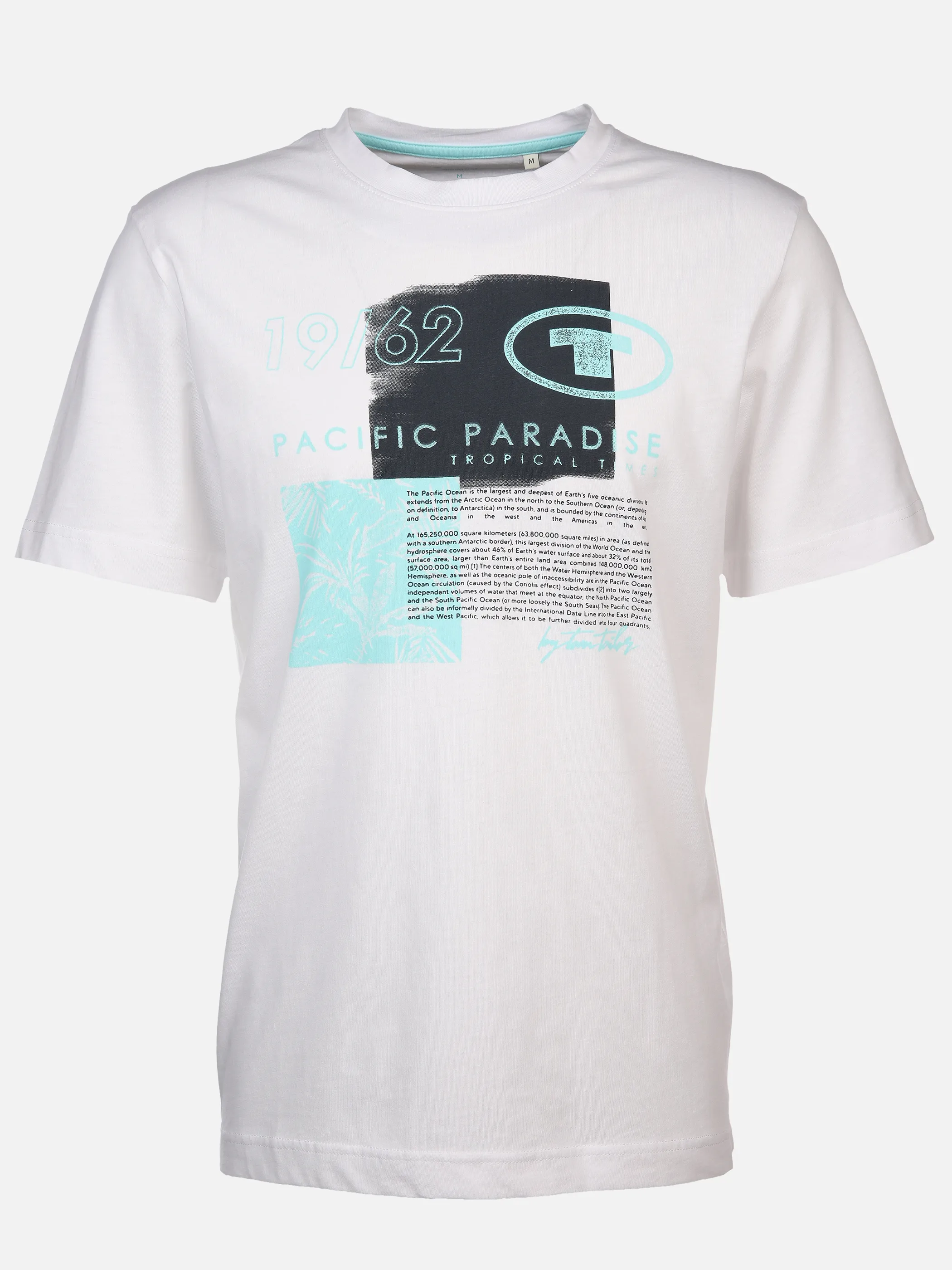 Herren T-Shirt mit Print