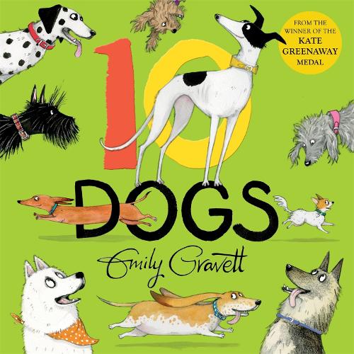 10 Dogs: A funny furry counting book (Hardback)