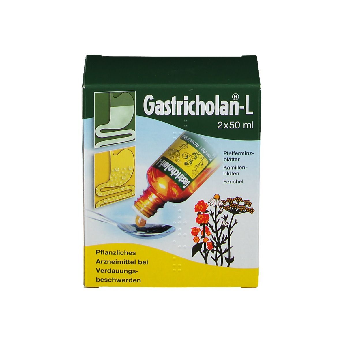 Gastricholan L flüssig
