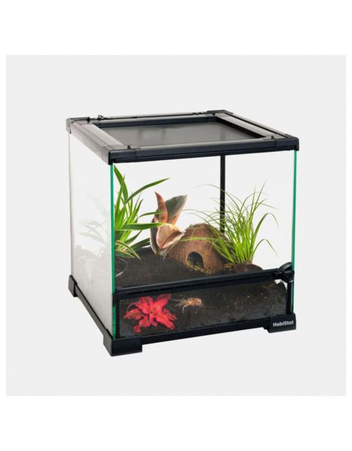 Habistat Glazen Terrarium - Terraria - 30x30x32 cm