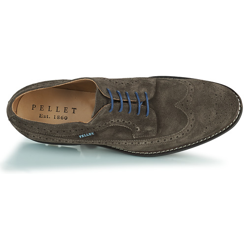 Pellet - NORMAN - VELOURS CYPRES