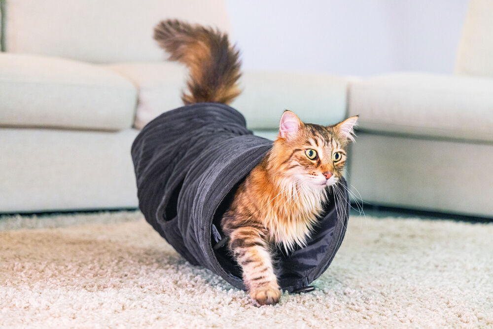 Designed by Lotte Rib - Kattentunnel - Antraciet