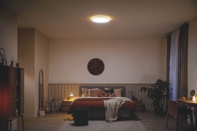 Philips Ozziet loftslampe 22W (hvid)