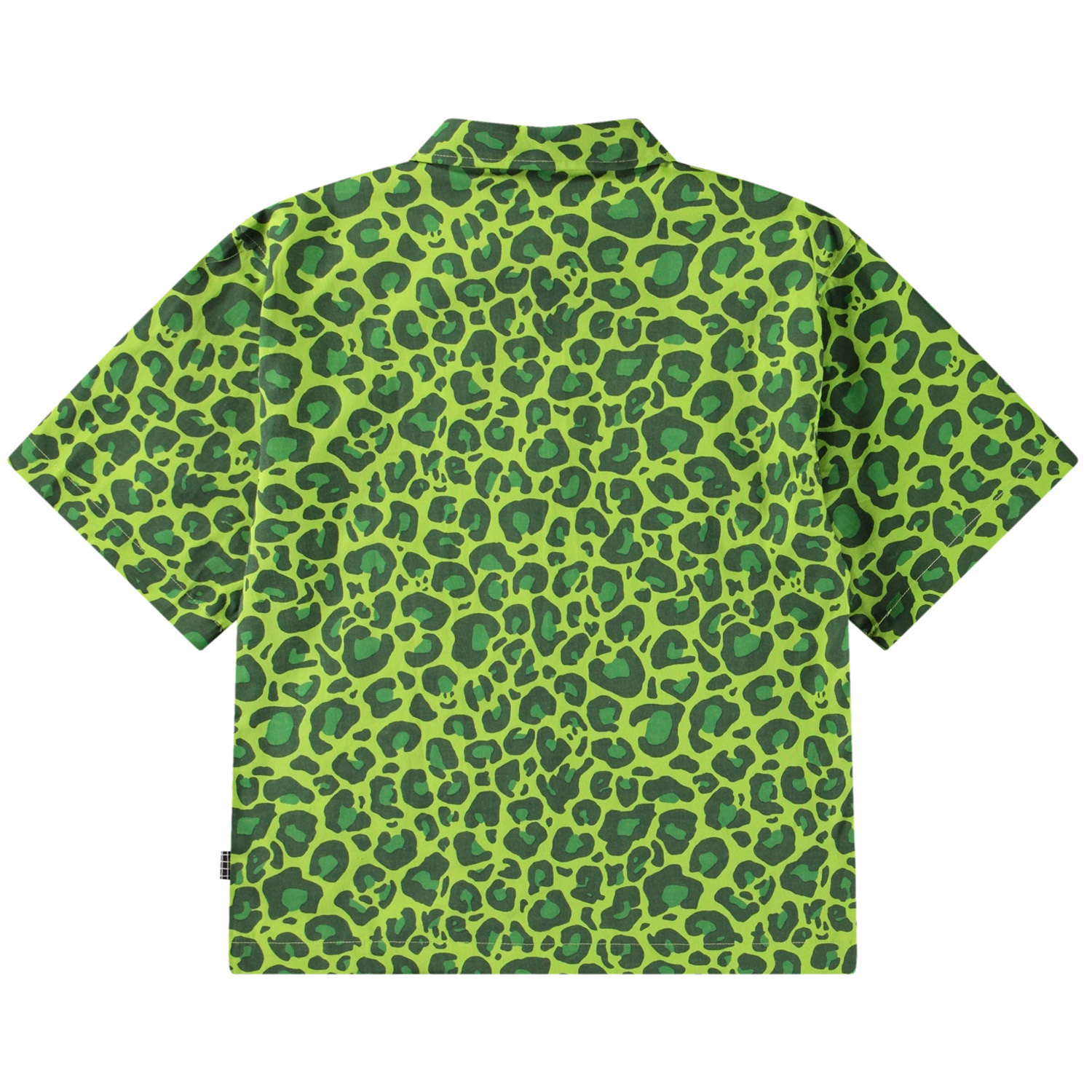 Richie - Jaguar_Green