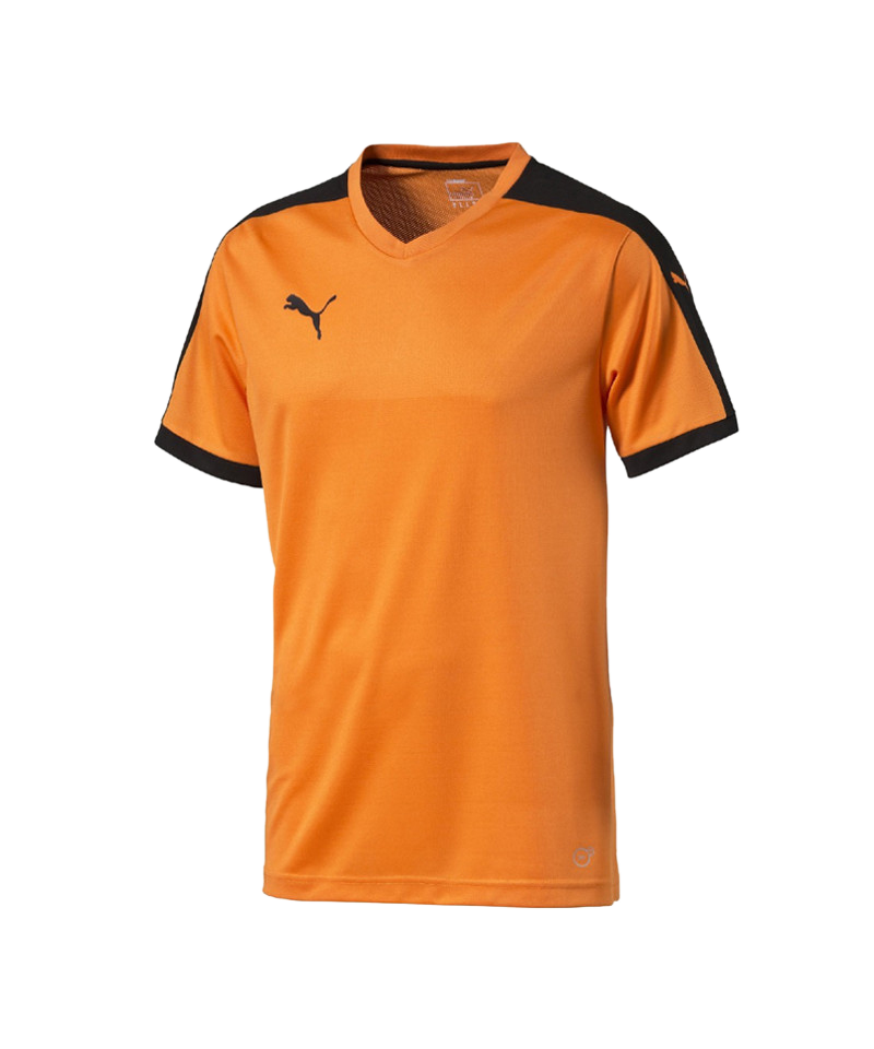 PUMA Pitch Shortsleeved Shirt Trikot Orange F08