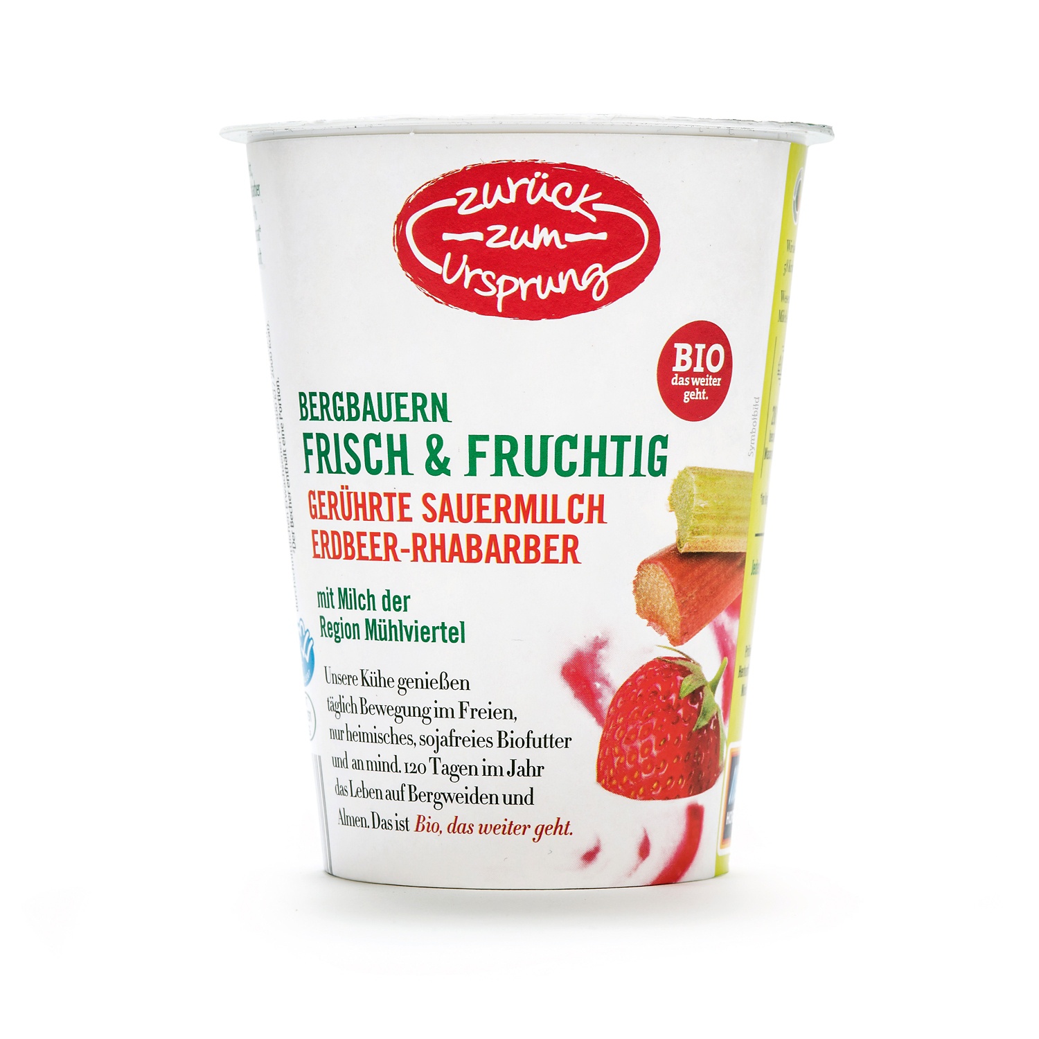 ZURÜCK ZUM URSPRUNG BIO-Bergbauern-Sauermilchjoghurt, Erdbeer-Rhabarber 180 g
