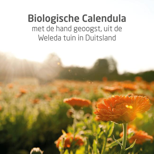 Weleda Baby Calendula Bodycrème