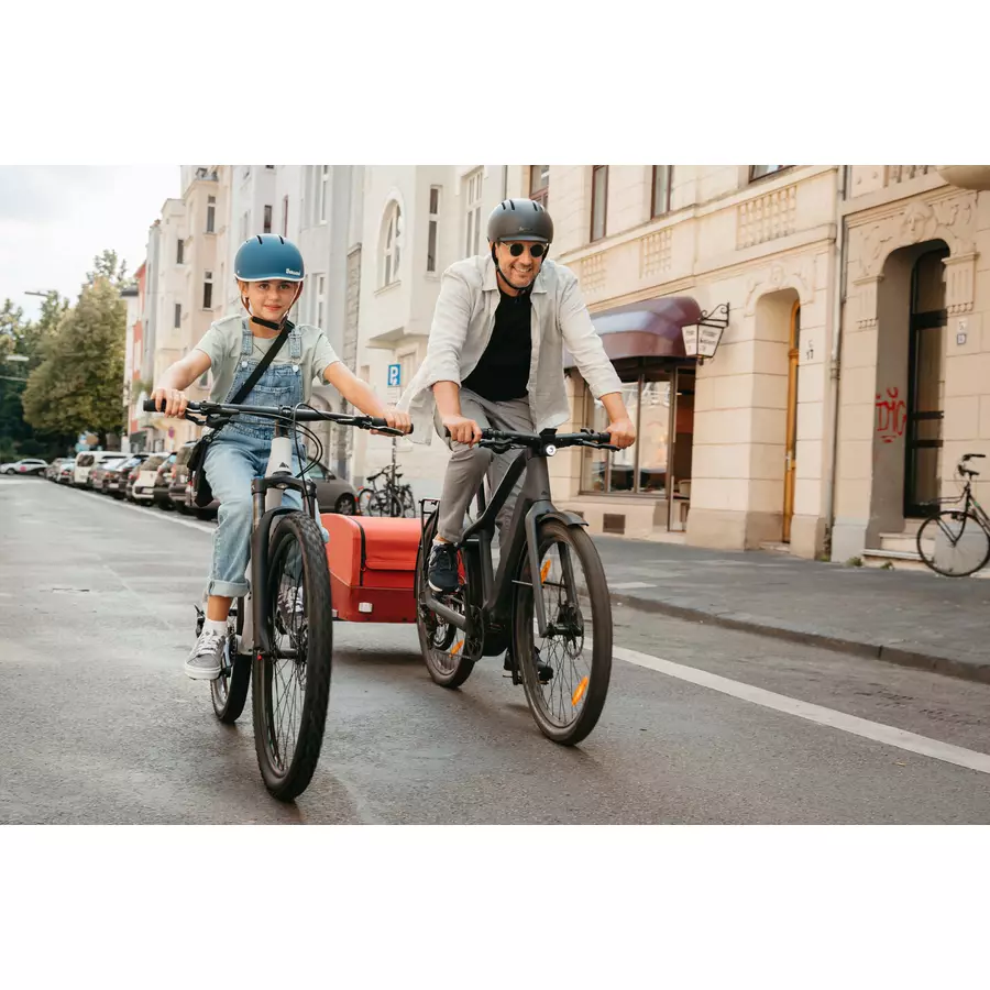 CROOZER Lastenanhänger Cargo Tuure Colourful Journey