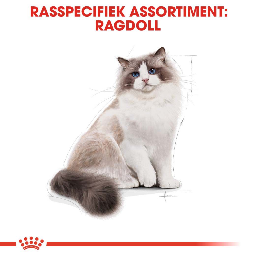 Royal Canin Ragdoll Adult - Kattenvoer - 2 Kilogram - Gevogelte