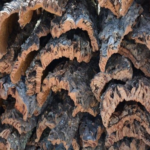 Cortiça natural para terrários e aquários.