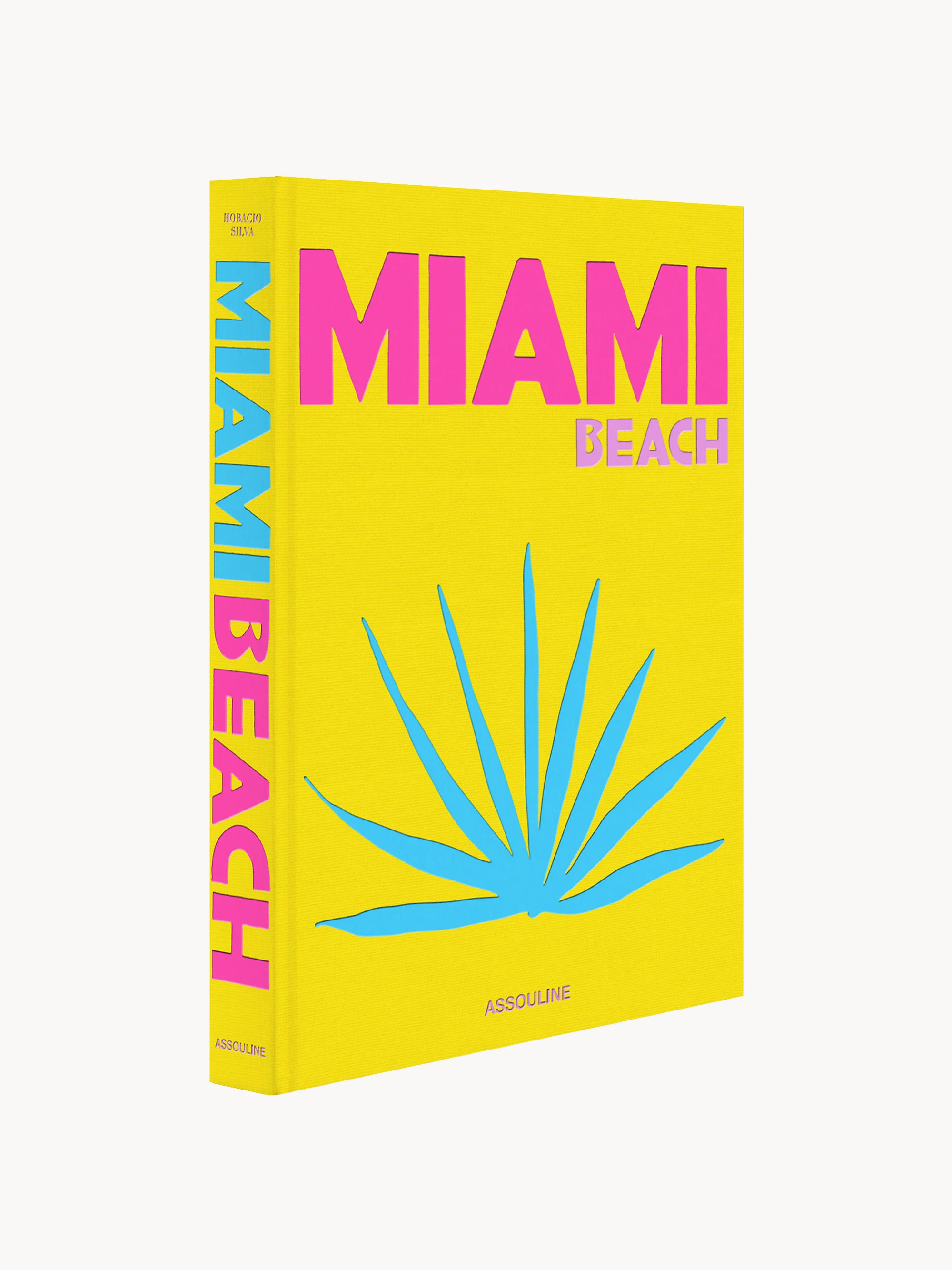 Koffietafelboek Miami Beach