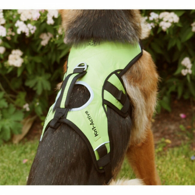 Harnais randonnée et assistance Kn'1 Active Grip pour chien